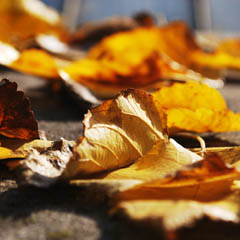 快速故障转移的在线网站攻击