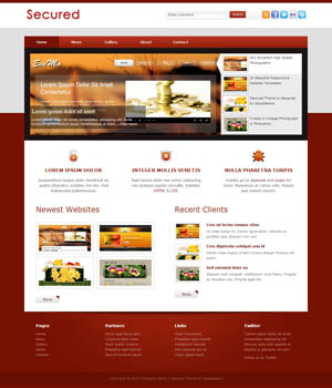 纯净无插件的在线网站攻击